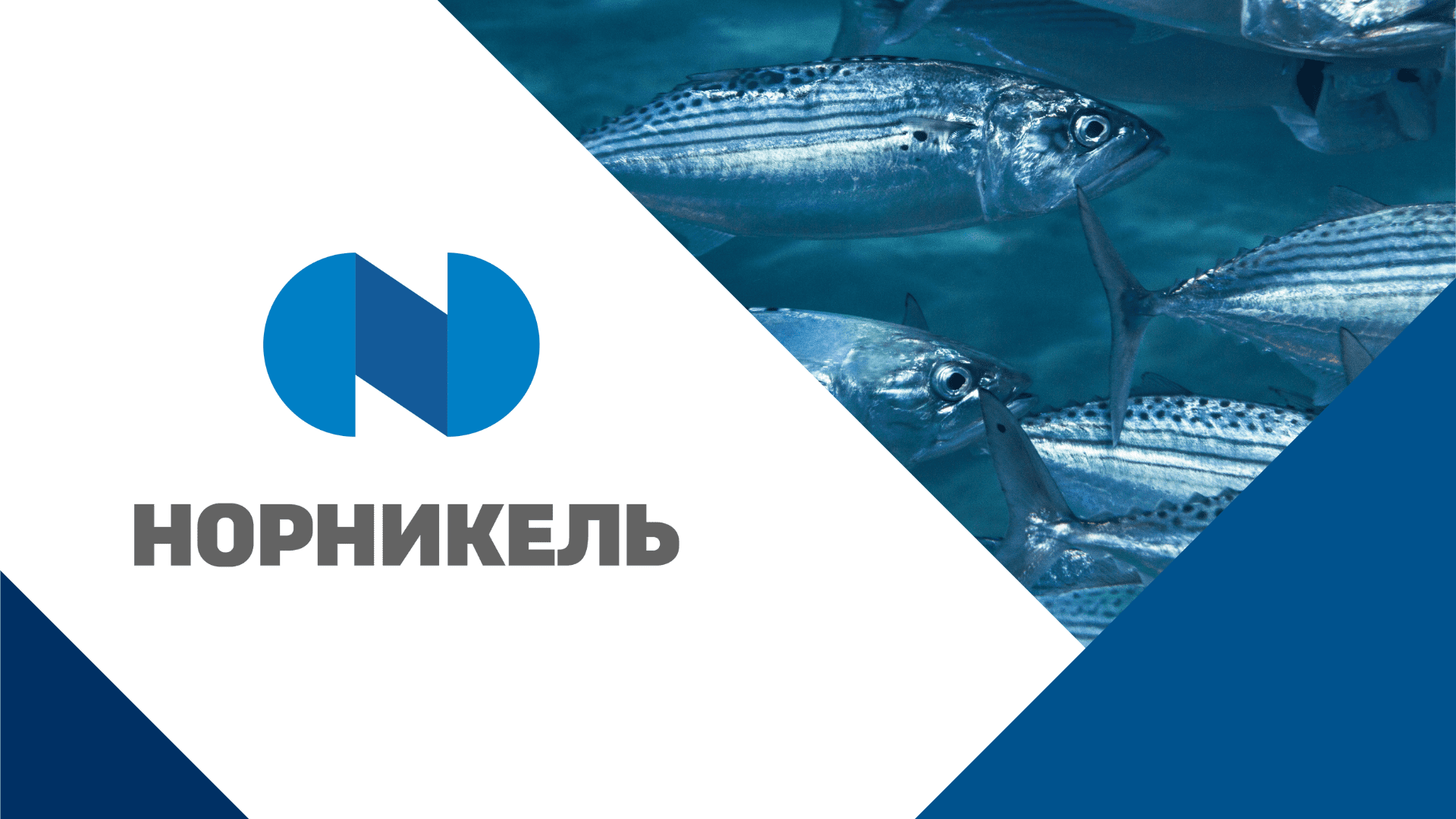 Компания ГМК «Норильский никель» получила статус Партнёра V Global Fishery  Forum & Seafood Expo Russia